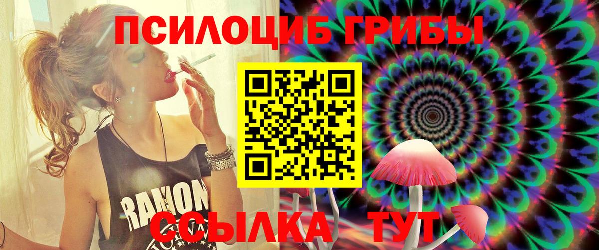 Хасавюрт  Псилоцибиновые грибы мицелий  Вход с VPN 